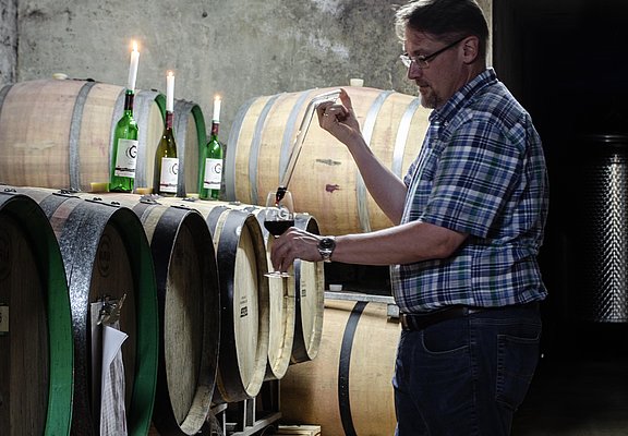 Weingut Gindorf Kellerarbeit