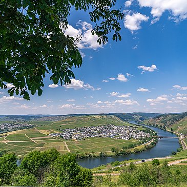 Moselschleife mit Blick auf Trittenheim