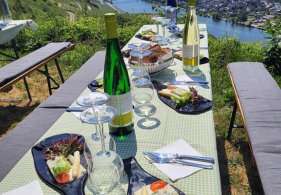 Picknick im Weinberg
