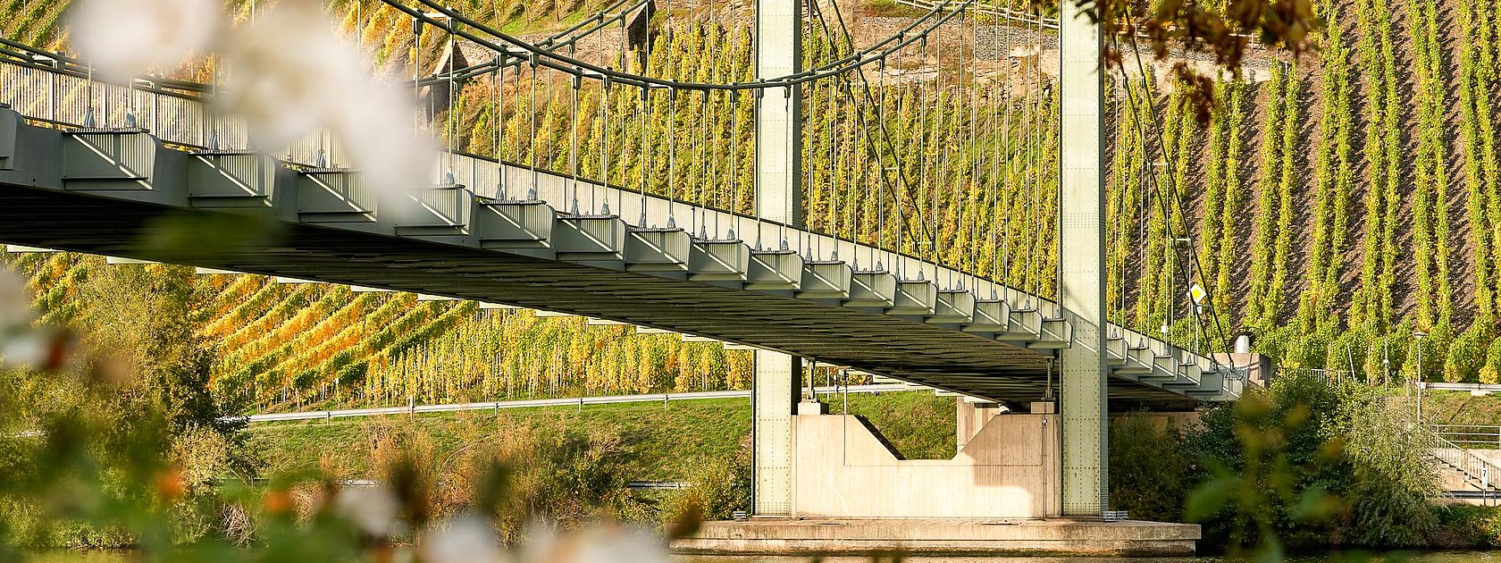 Hängebrücke Wehlen