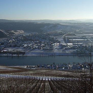Piesport im Winter