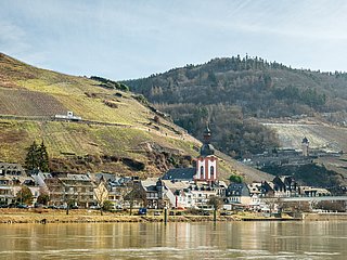 Moselblick auf Zell