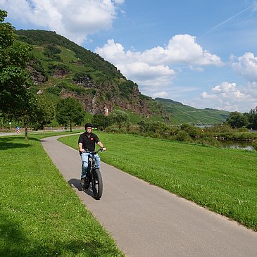 Moselradweg bei Ürzig