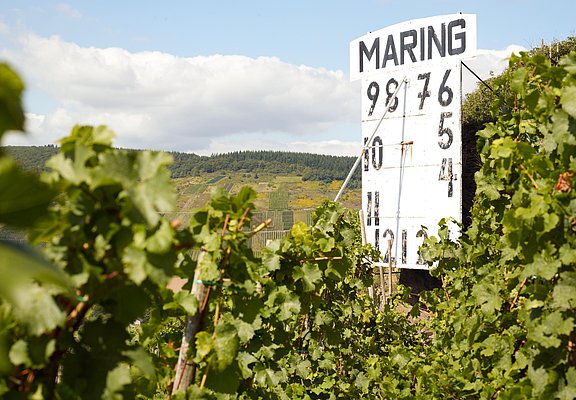 Maringer Sonnenuhr in den Weinbergen