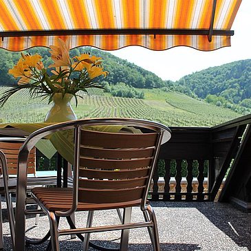 Fewo 3    Blick in die Weinberge