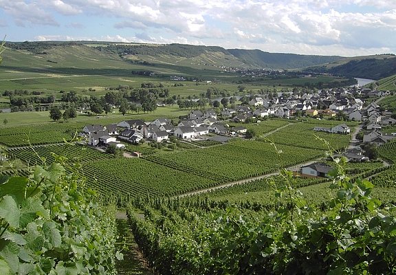 Blick auf Kesten an der Mosel