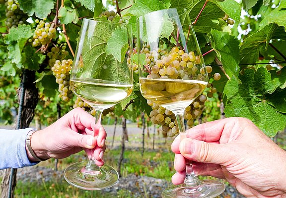 Weingenuss an der Mosel
