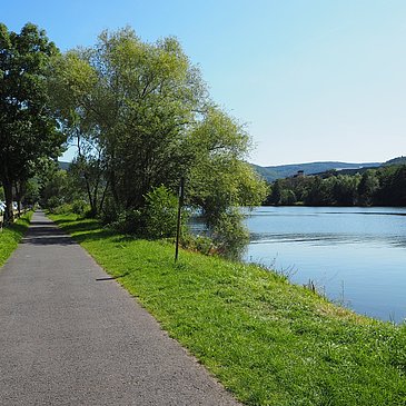 Mosel-Radweg bei Graach