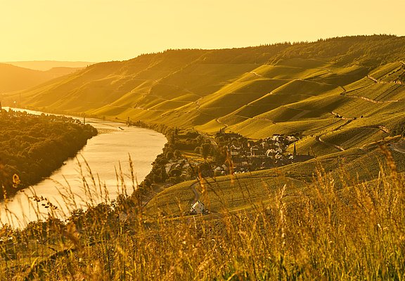 Laternen