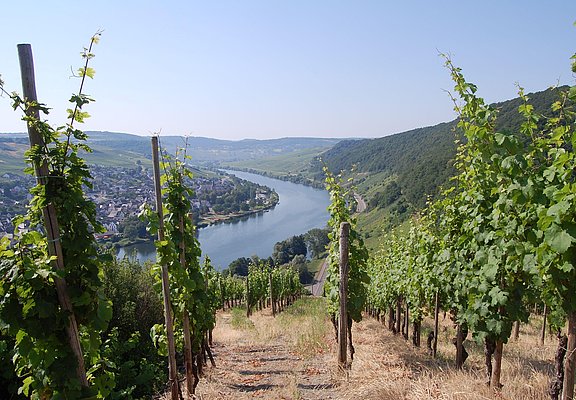 blick_auf_neumagen_dhron_quelle_mosellandtouristik