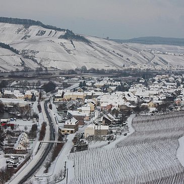 Wintrich im Schnee