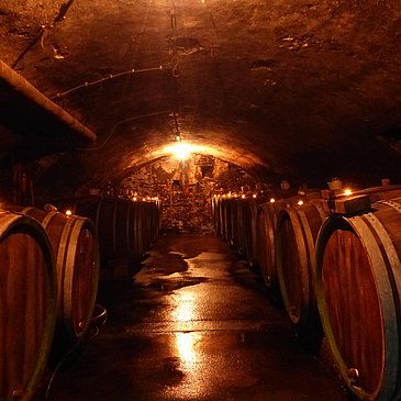 Weingut Schiffmann-Junk Fasskeller