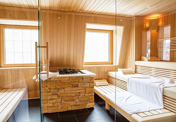 Wellness Sauna