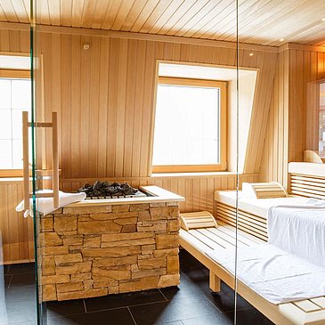 Wellness Sauna