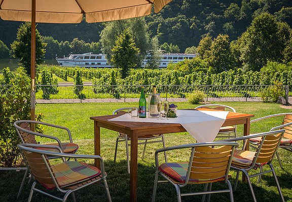 Weingut Paul Koenen - Ausblick auf die Mosel