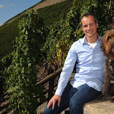 Martin Conrad in Weinbergen