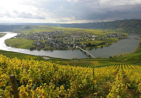 piesport (1)