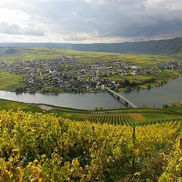 piesport (1)