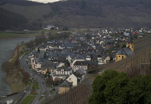 Zeltingen-Rachtig