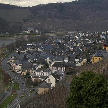 Zeltingen-Rachtig
