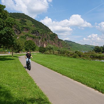 Moselradweg bei Ürzig