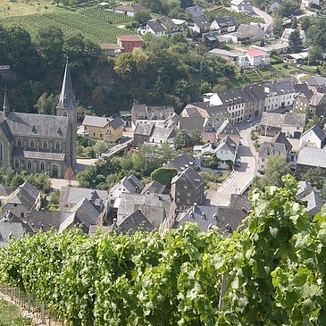 Blick von den Weinbergen auf Neumagen-Dhron