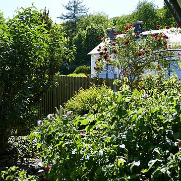 2_Terrasse6