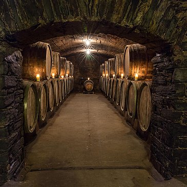 Weinkeller im Weingut