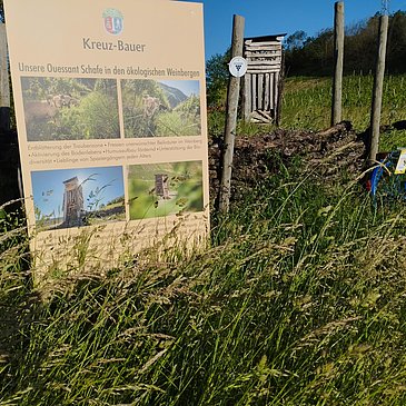 IMG_20230530_191324