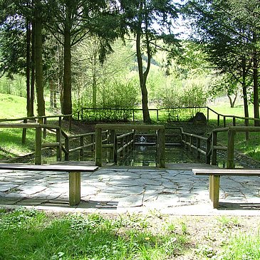 Wassertretbecken in Kesten
