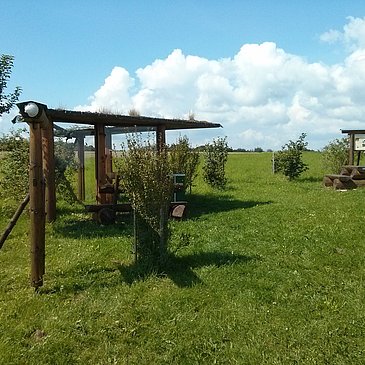 Grenderich: 'Bienenfernsehen'