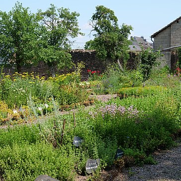Garten