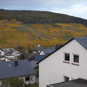 2_Terrasse9