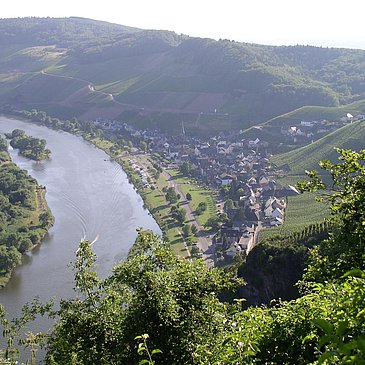 Panorama