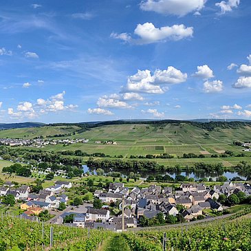 Ausblick von einem unserer Weinberge