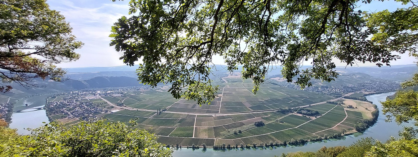Piesport_Großer_Moselblick