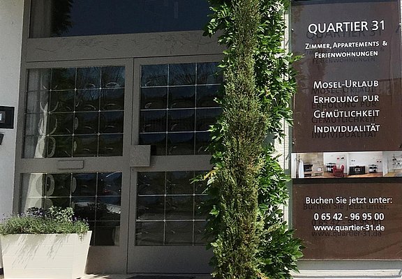 Q31 Eingang
