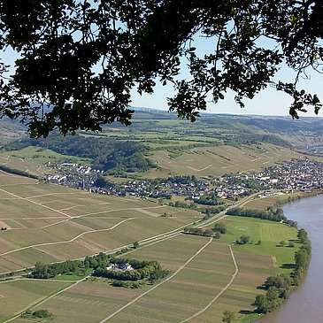 Blick auf Neumagen-Dhron