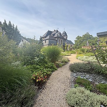 Weg im Stadtpark