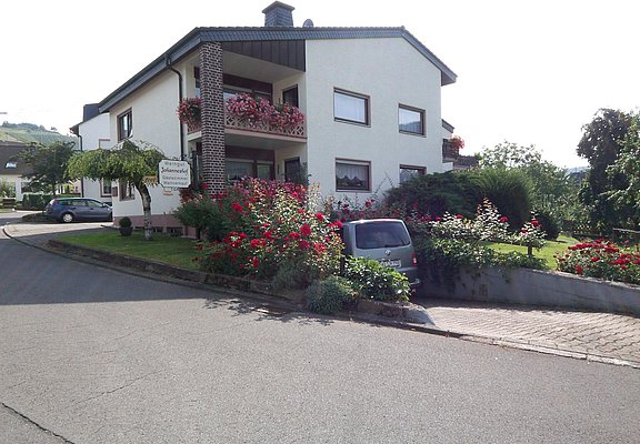 Ansicht-3