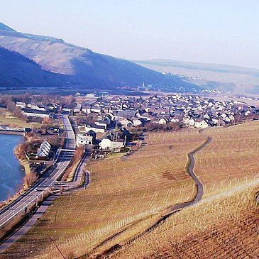 Wintrich