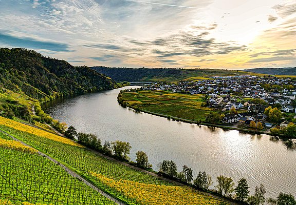 Ausblick ins Moseltal bei Piesport