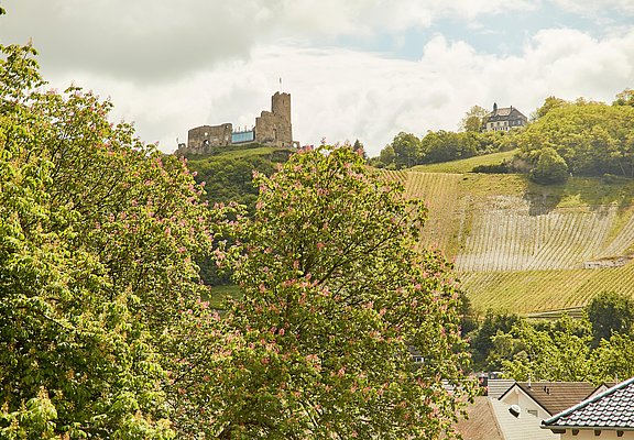 Susannes Burgblick_Aussicht