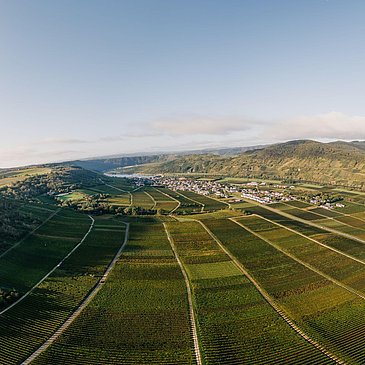 Weinbergslandschaft
