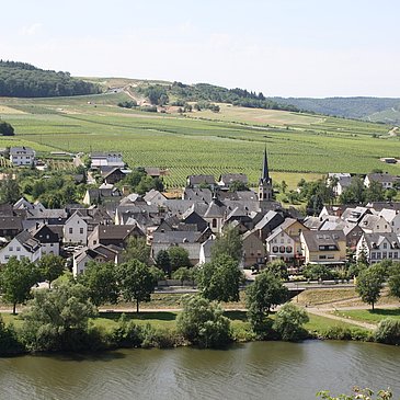 Blick auf den Weinort Erden vom "Treppchen" aus 