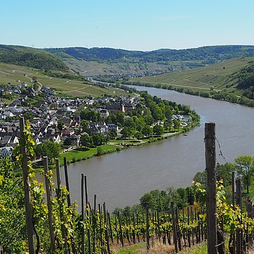 Blick auf Neumagen-Dhron