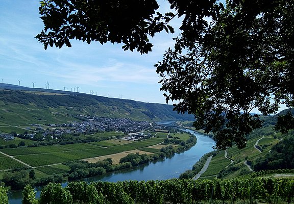 Aussicht auf Wintirch
