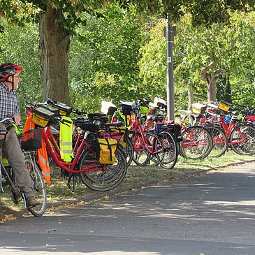 Bild Fahrräder an der Mosel