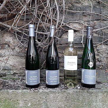Weinflaschen Weingut Schneider- Kettern