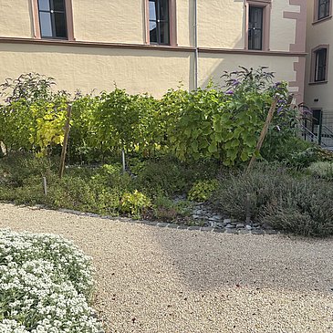 Stadtpark Deinhard´s